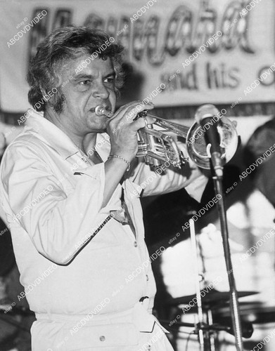 Musician jazz trumpet - musician,